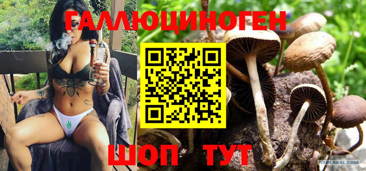 Фурманов  цена   Вход с VPN  Галлюциногенные грибы мицелий  Галлюциногенные грибы Magic Shrooms 